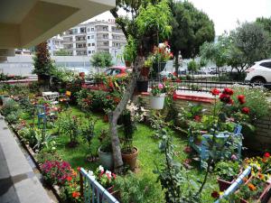 En güzel balkon ve bahçeler seçiliyor 