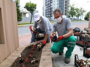 İzmitin parklarında rengârenk çiçekler açtı