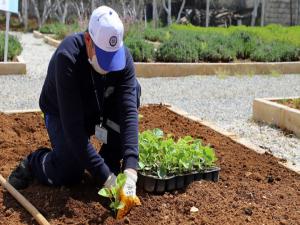 Muğla Büyükşehir Belediyesi 16 bin 800 fideyi toprakla buluşturdu