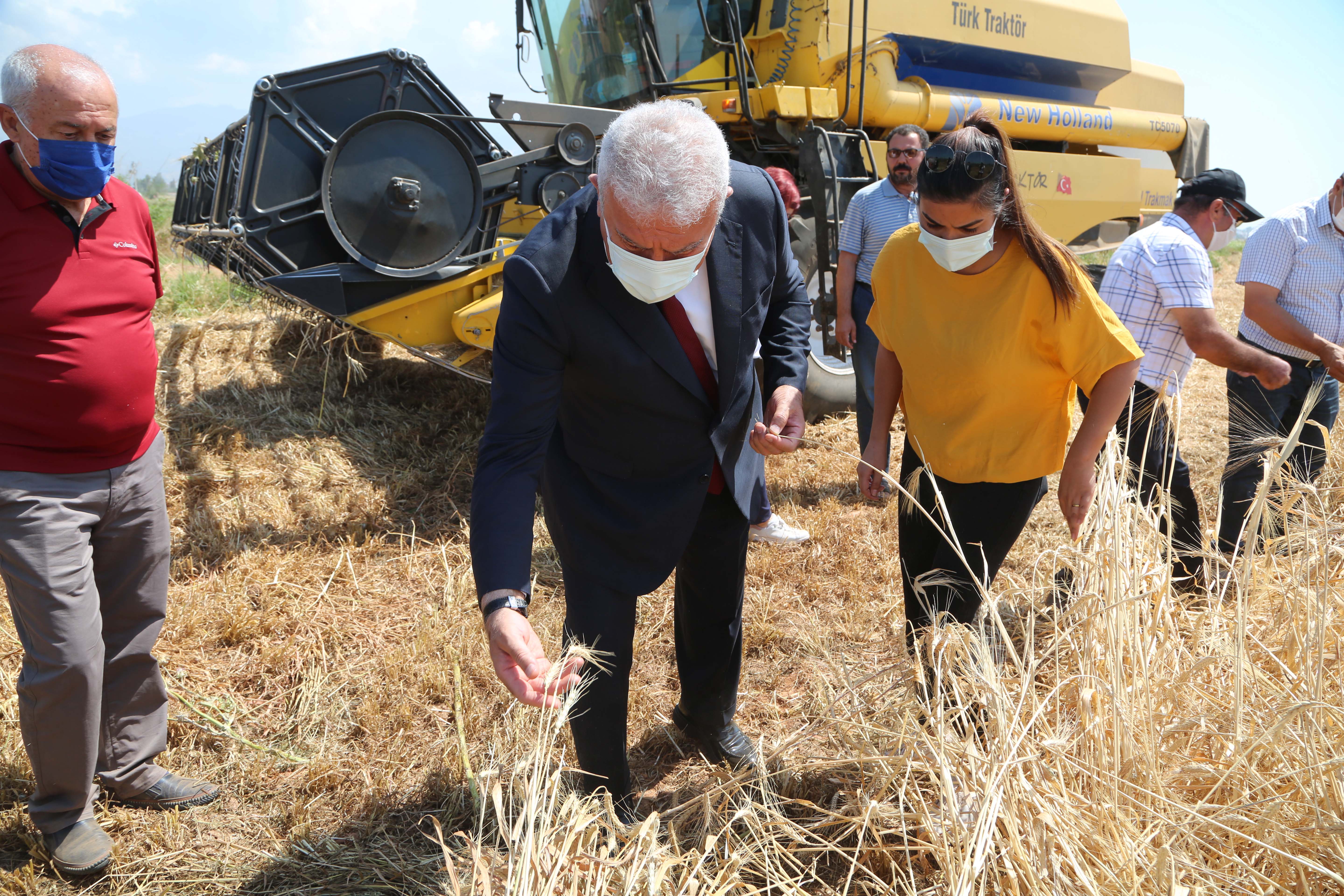 BAŞKAN ATAY’DAN KARAKILÇIK BUĞDAYI HASADI